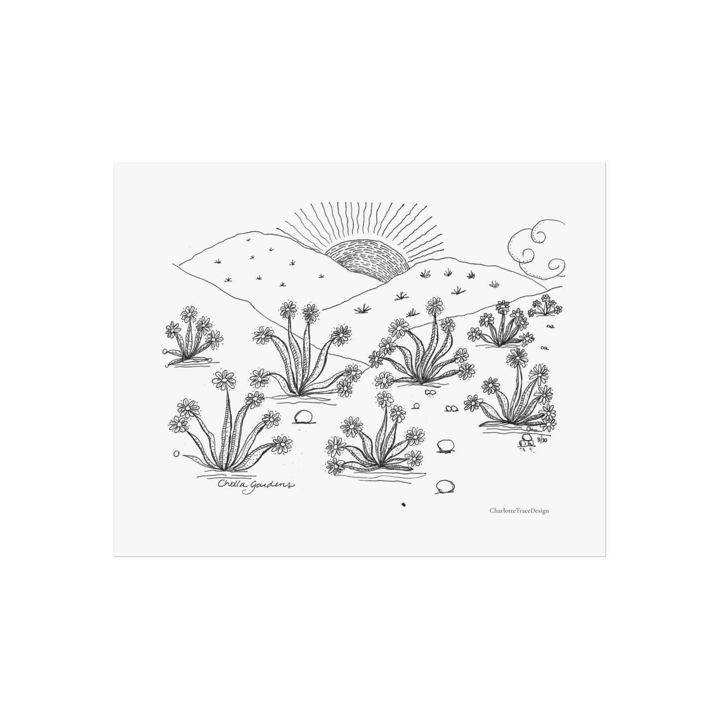 Cholla Gardens Desert Flowers Fine Art Poster — Minimal Botanical Landscape Wall Art